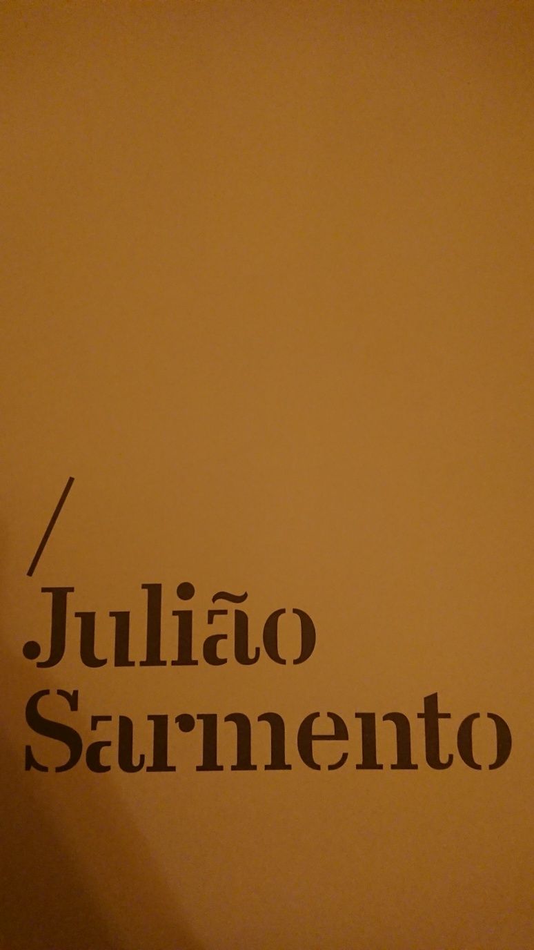 Risco Inerente "Julião Sarmento"