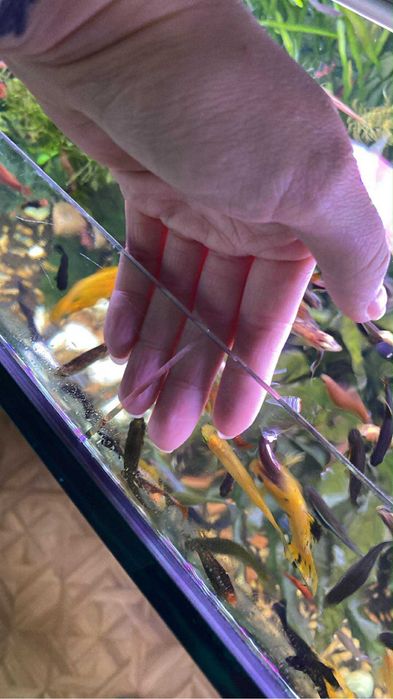 Akwarium 220L z szafką szczelne