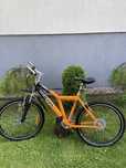 Rower Travers mtb