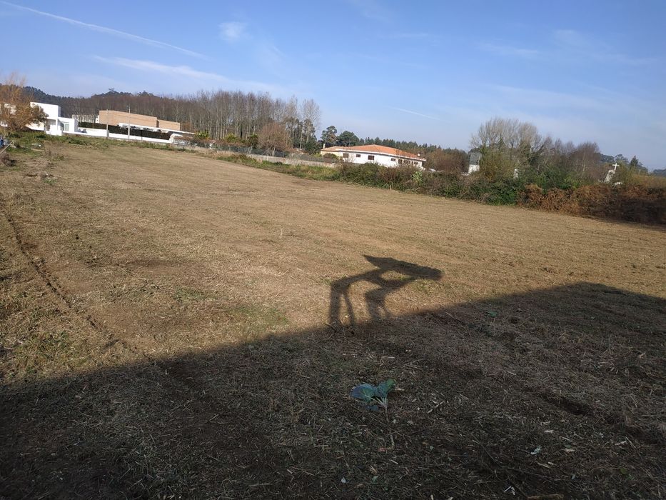 Limpeza de terrenos serviços agrícolas