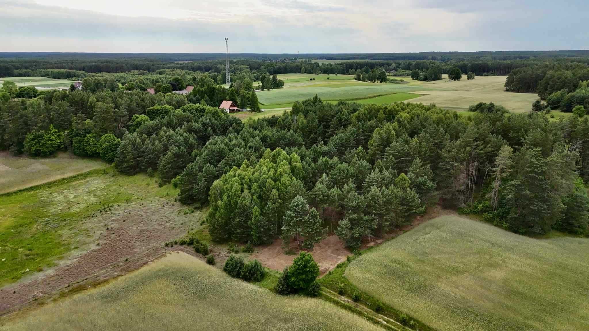 Huta Kalna. Wynajmę działkę rekreacyjną niedaleko Wdy