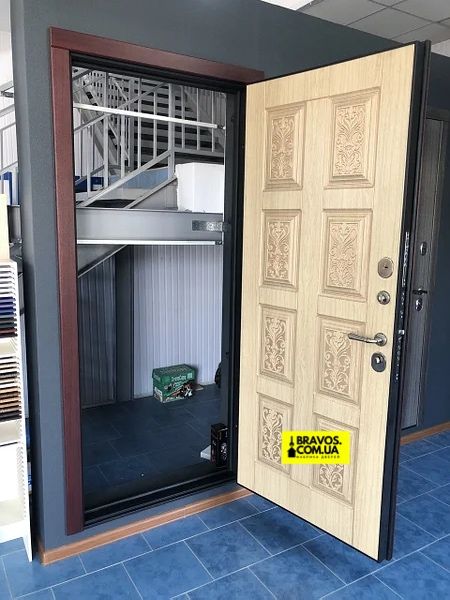 Входные двери в частный дом. Входная бронированная дверь в квартиру