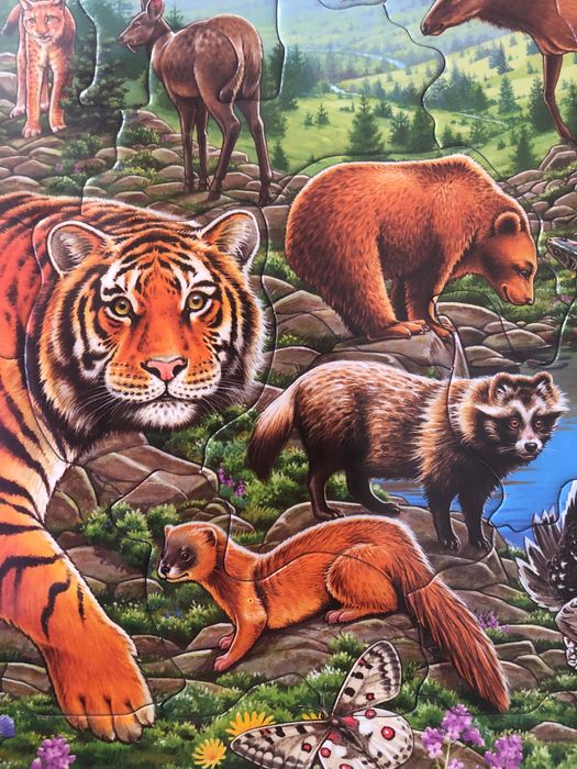 Нові Пазли Larsen