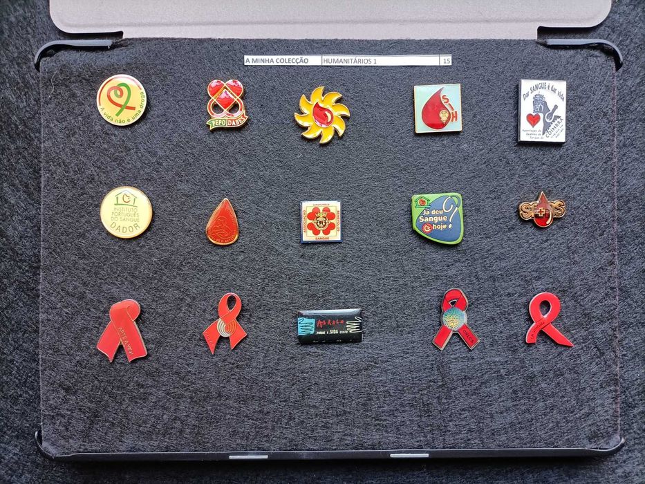 PINS A Minha Colecção de Pins temáticos 3