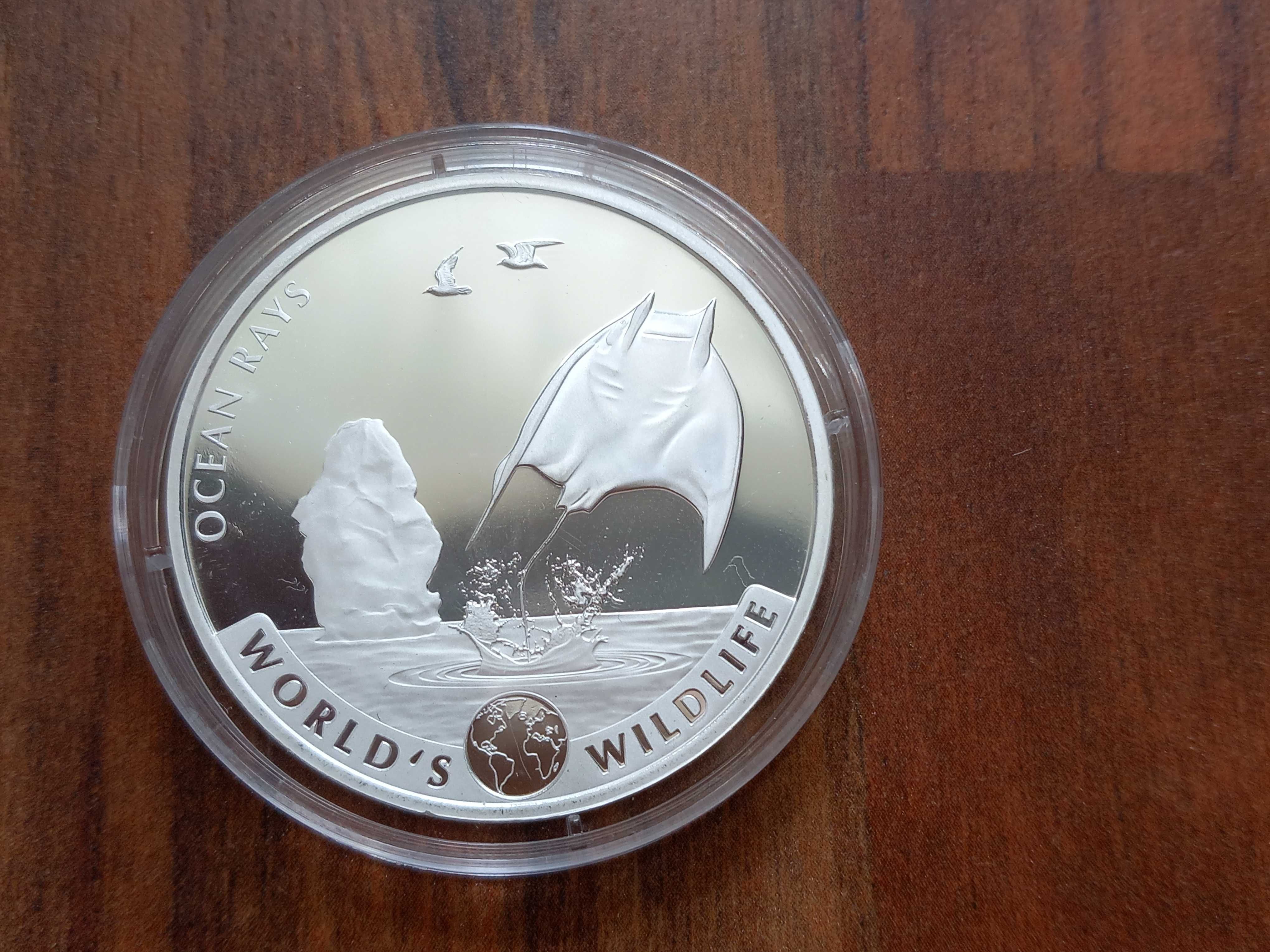 Moeda 20 Francos "Raia" 2023 Congo