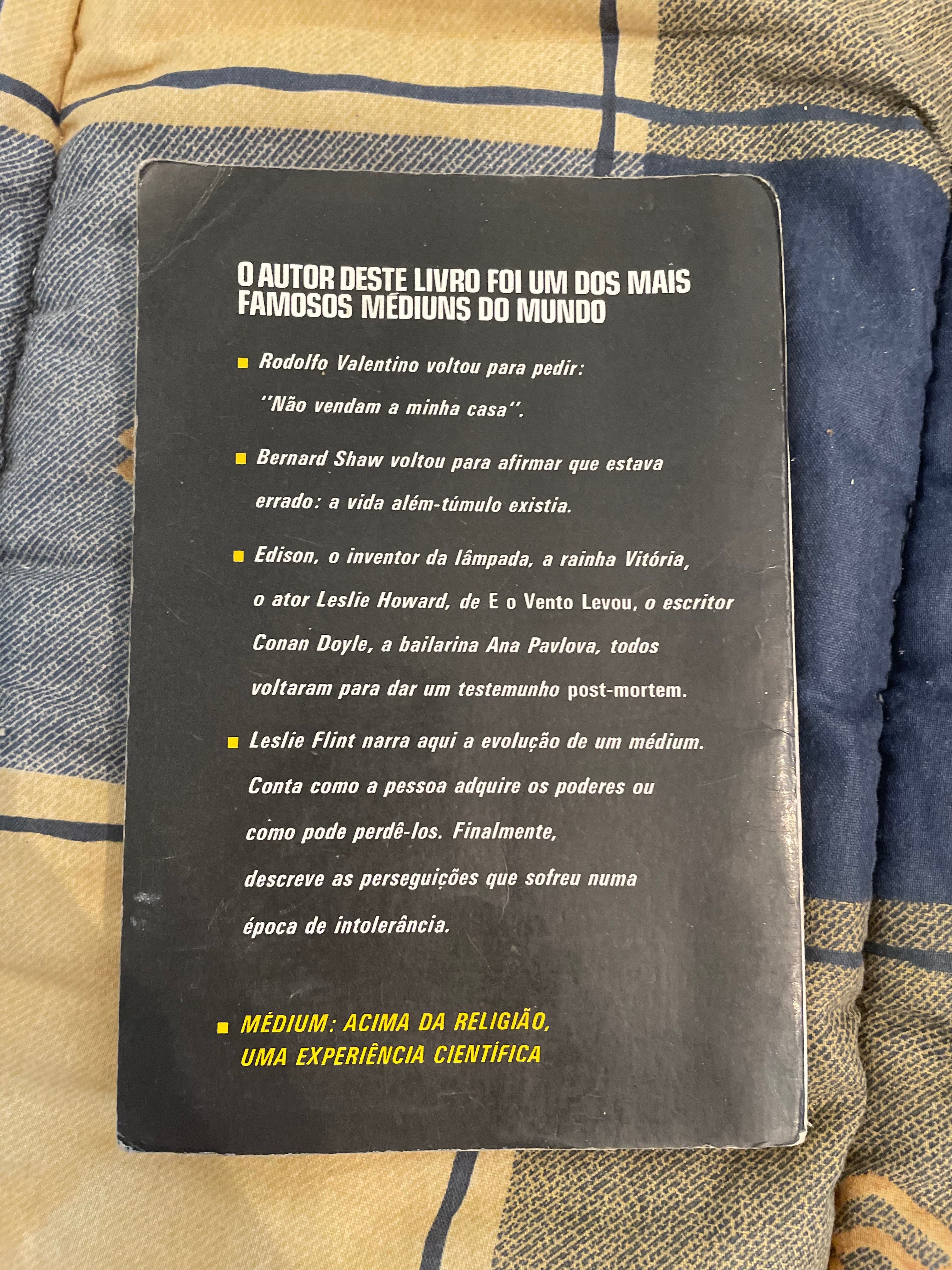 Livro Em Busca Da Vida Após A Morte