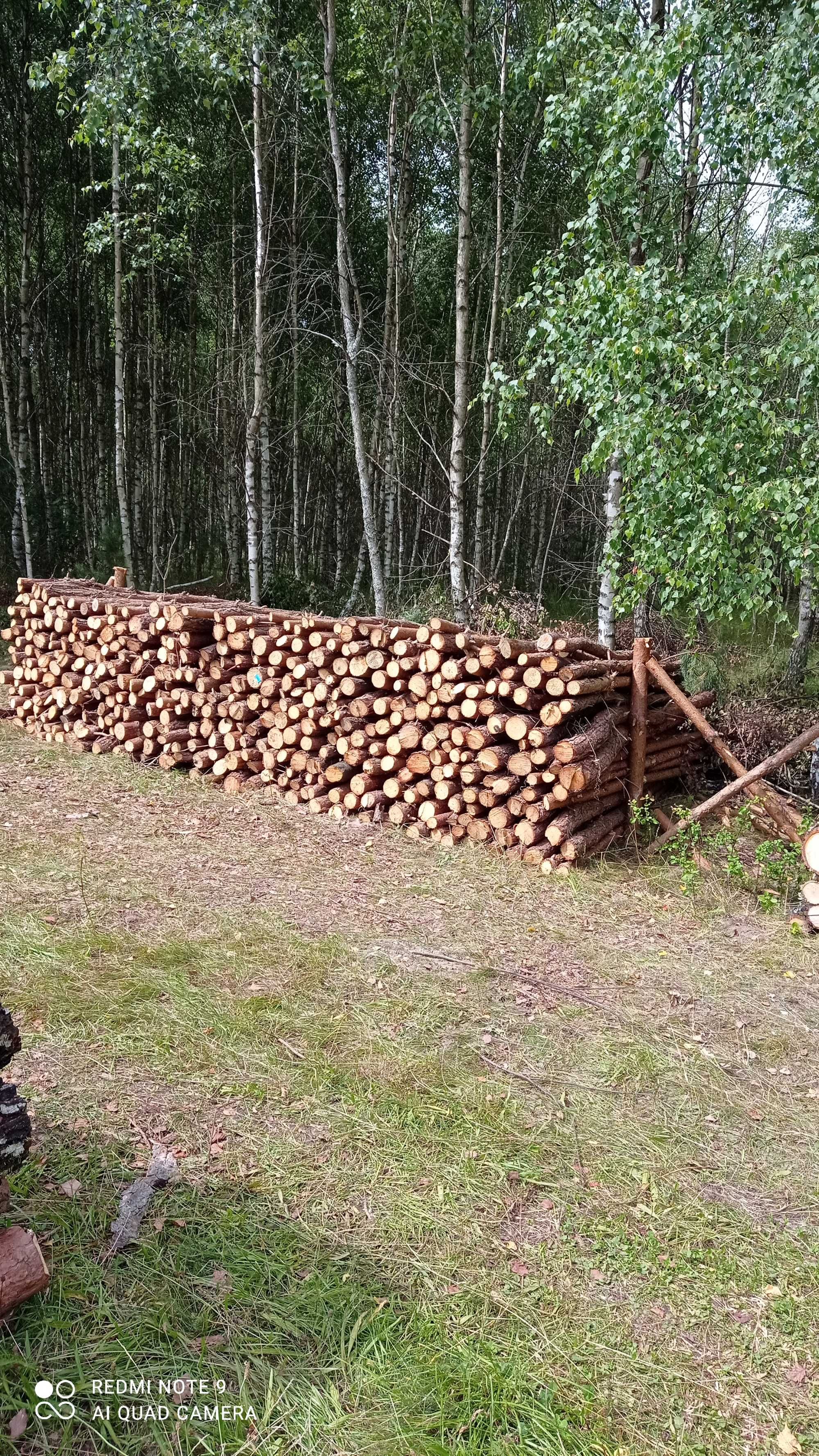 drewno opałowe  sosna cienkie grube