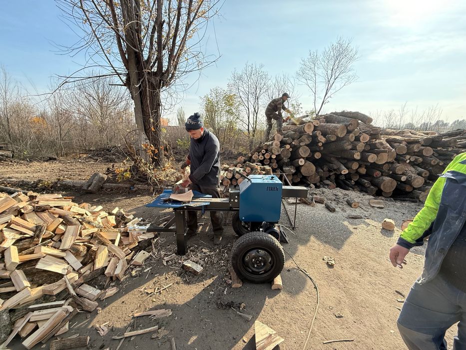 Дуб ясень акация и другие твёрдые породы