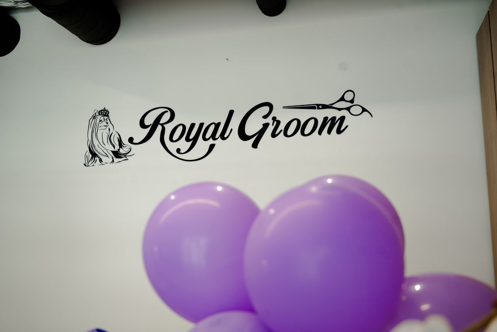 Стрижка тварин. Собак і котиків. Креатив.