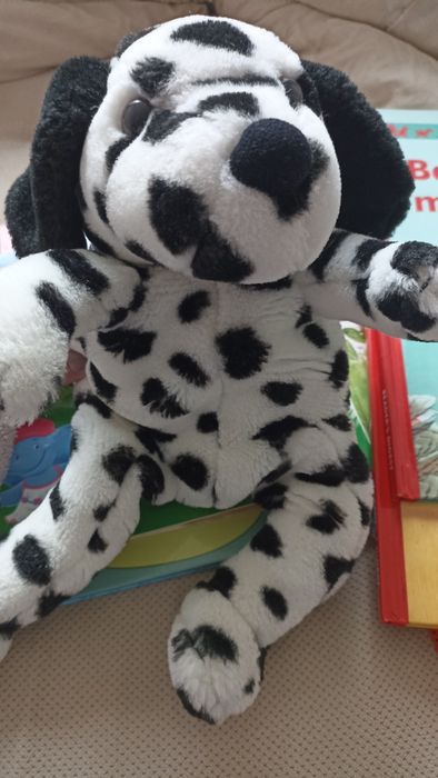 Maskotka piesek z kieszonką