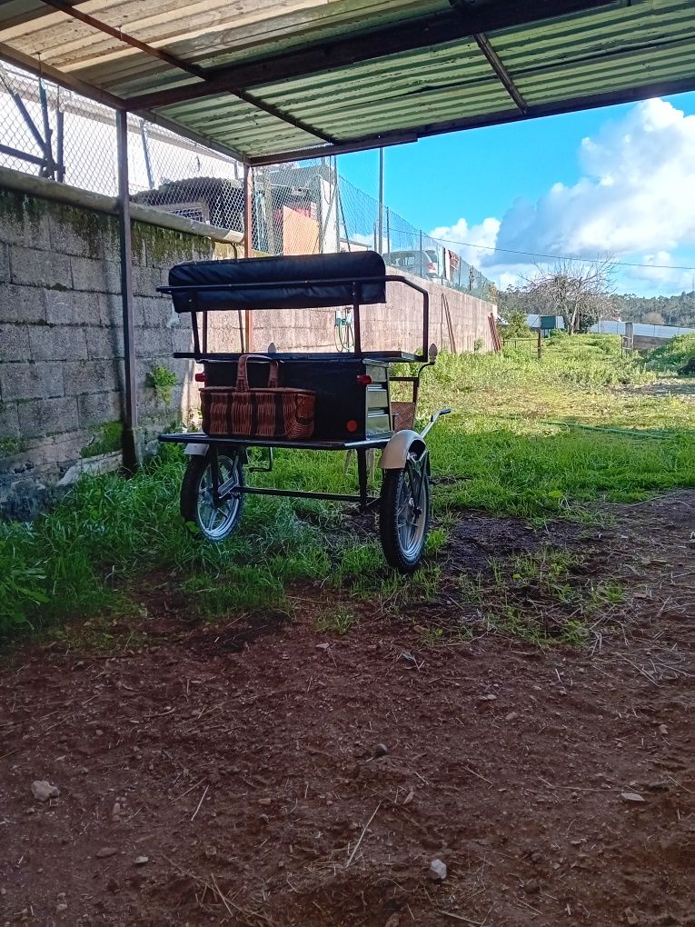 Vendo charrete para ponei