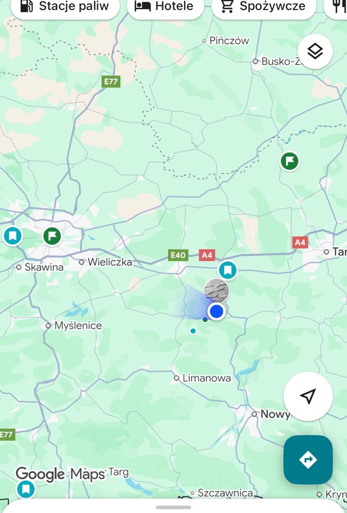 Borówka amerykańska owoce