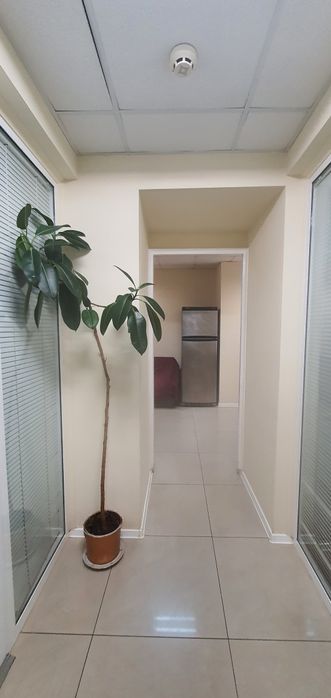 Аренда кабинета в районе КЗ им. Глинки