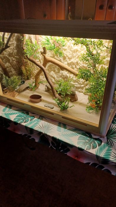 Terrarium dla gadów  węża  jaszczurki gekona