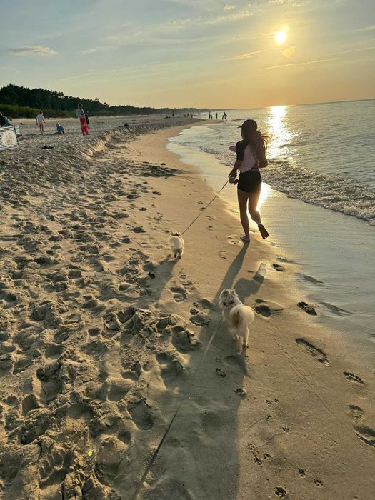 Komfortowe DOMKI nad morzem w Jastrzębiej Górze całoroczne ogrzewane