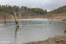 Lote de Terreno com 4500 m2 junto ao Alqueva
