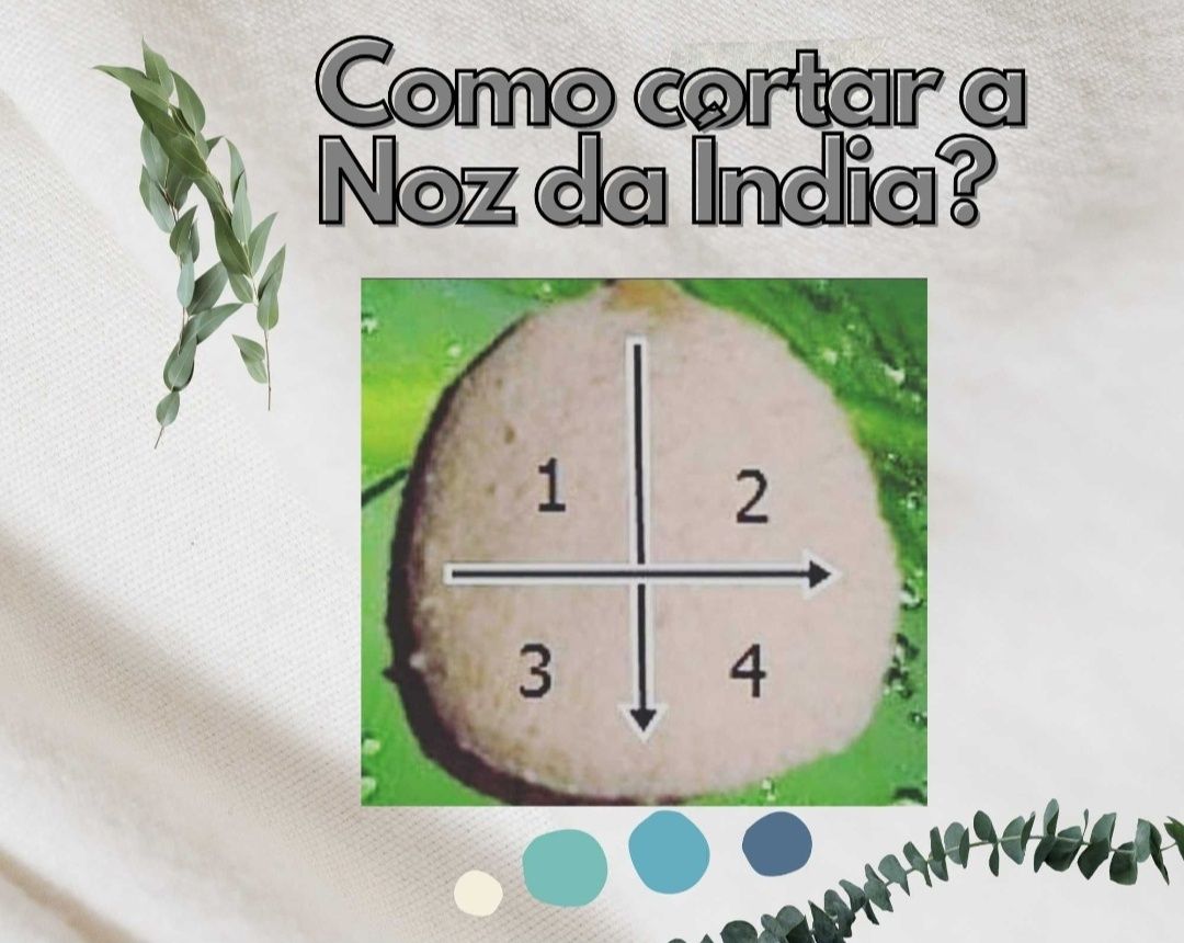 PROMOÇÃO - Emagrecimento 1 mês/15€
