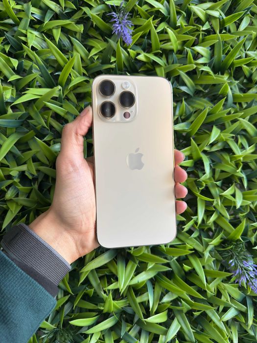 Apple iPhone 14 Pro Max 256GB Dourado - Loja Ovar
