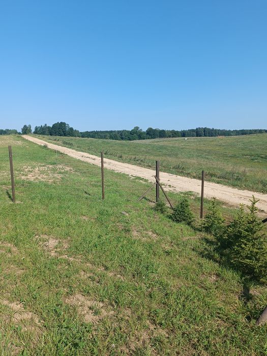 Gotowa działka rekreacyjna na Mazurach - tylko 34 tys. zł