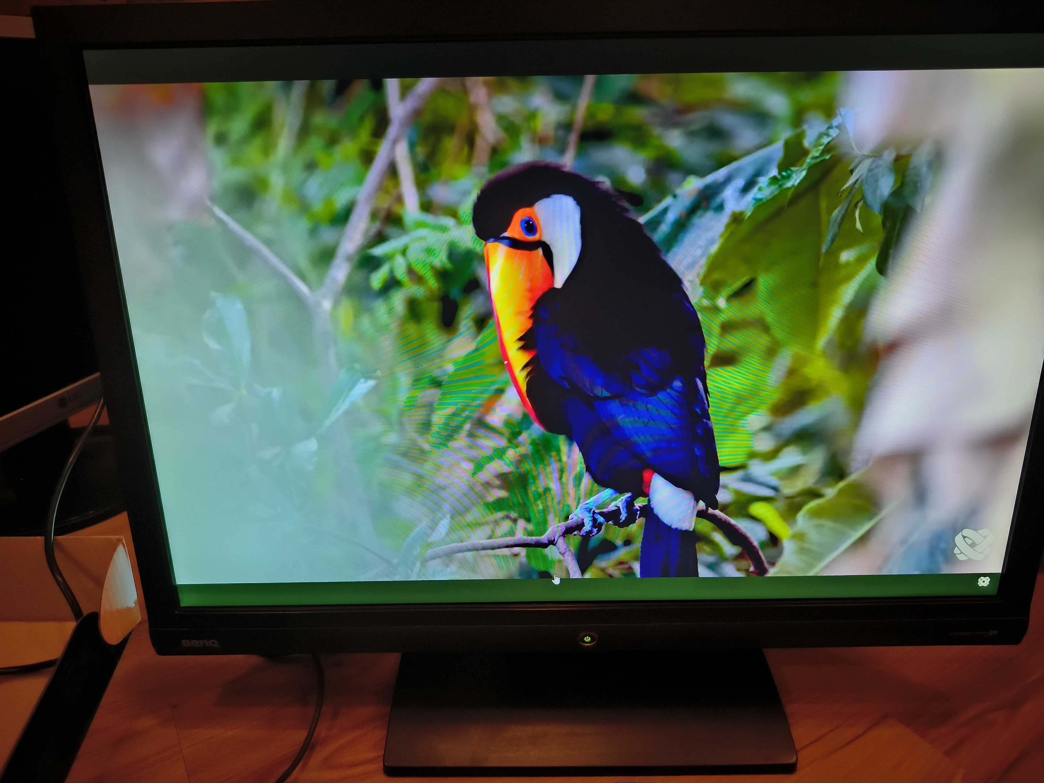 Монитор  BenQ 22 дюйма, vga dvi