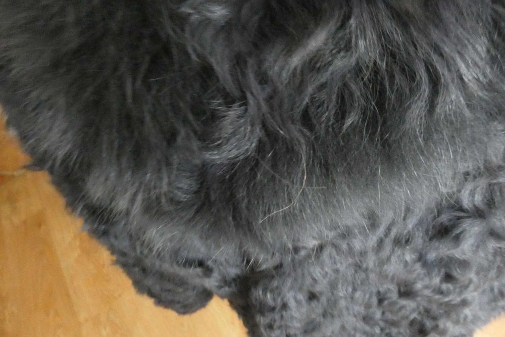 Haihuan Heze futro krótkie szare XXL