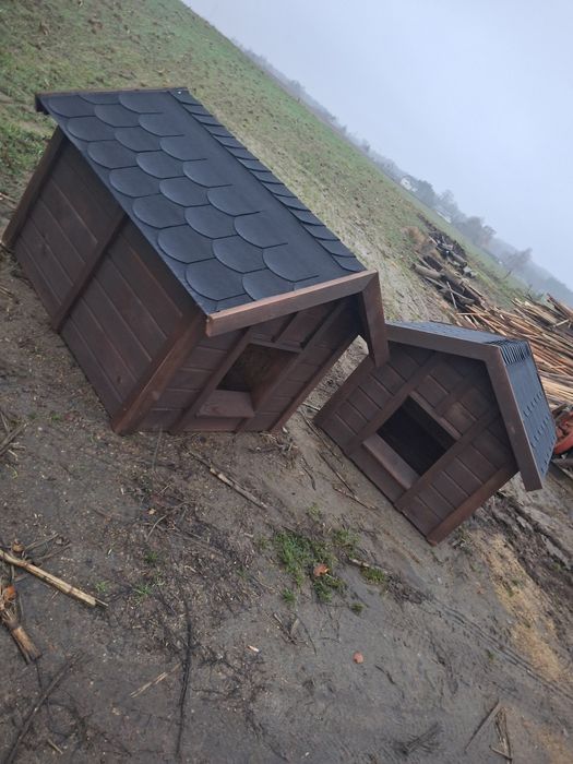 Bardzo duża buda dla psa