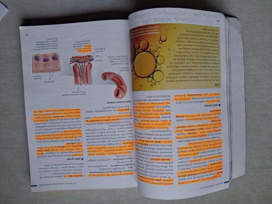 Biologia na czasie 3