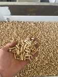 Pellet Iglasty Pelet 6mm dostępny od ręki