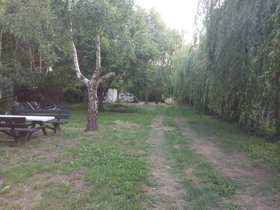 Działka nad morzem