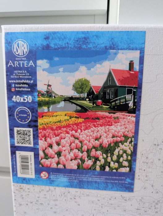 Dwa obrazy do samodzielnego malowania według numerów podobrazie nowe