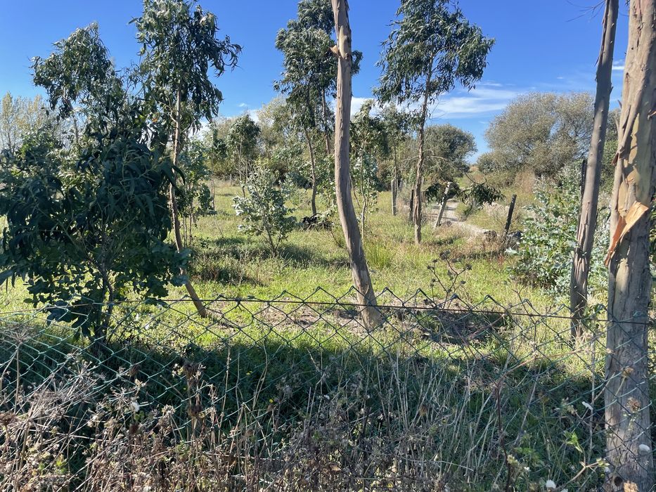 Vende se terreno rustico