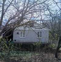 Продам будинок в селі, поблизу міста Пирятин