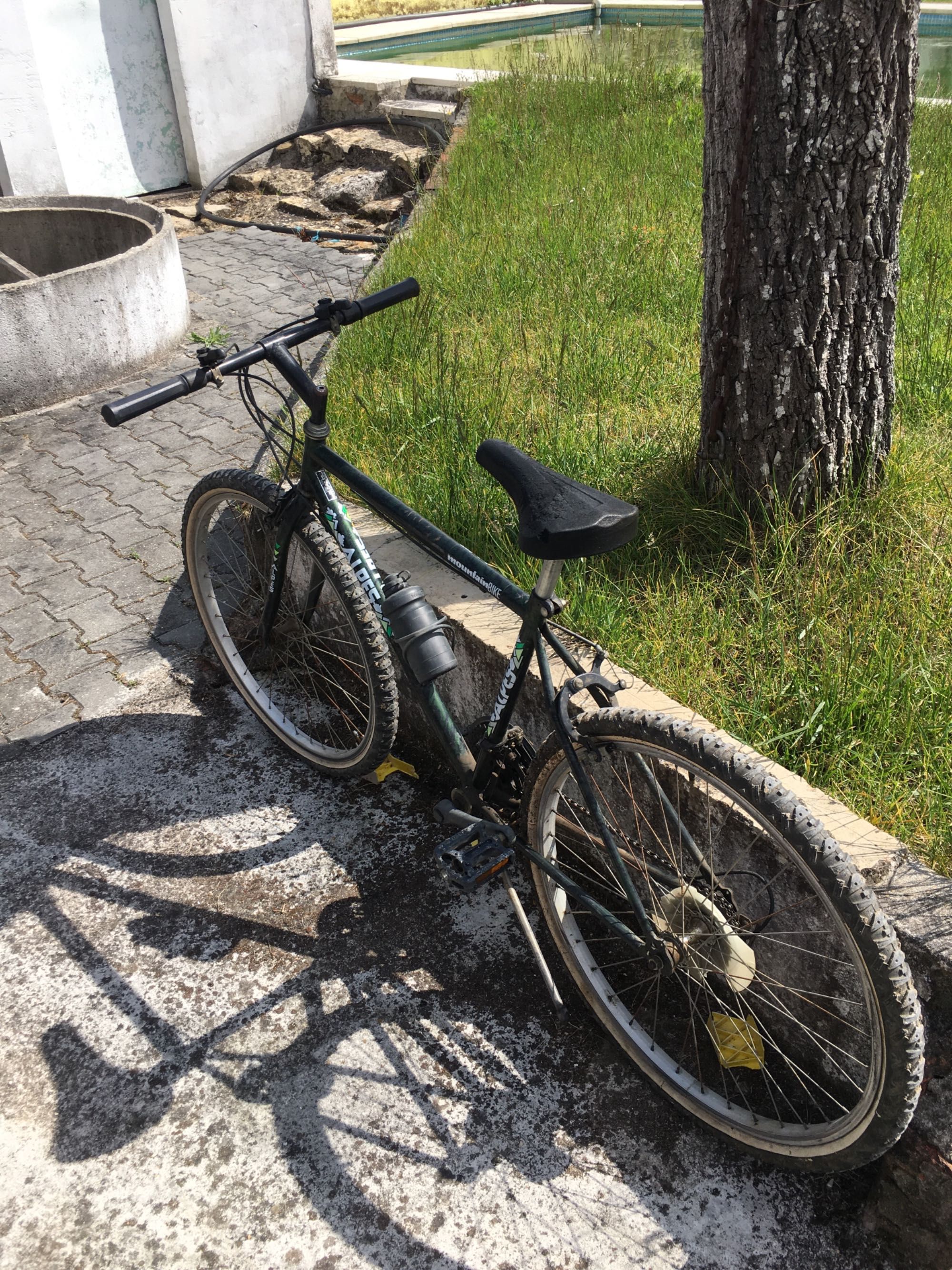 Bicicleta de montanha