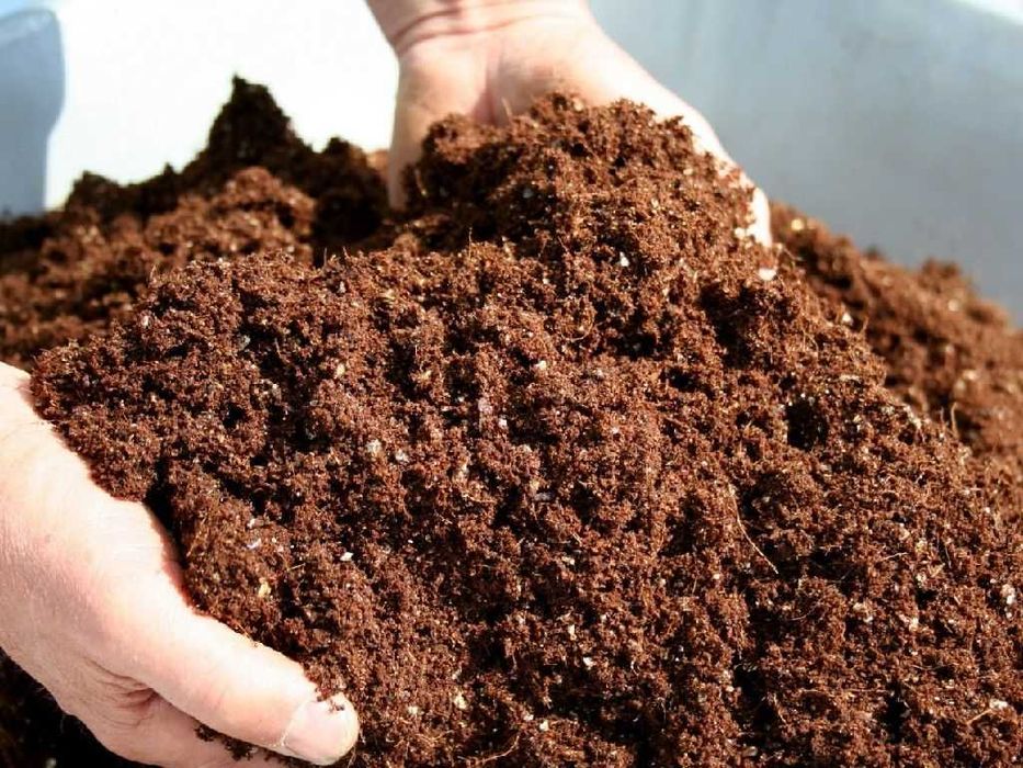 Перегной коровяк. Дрова твердых пород до 2 куб. Привезу прицепом