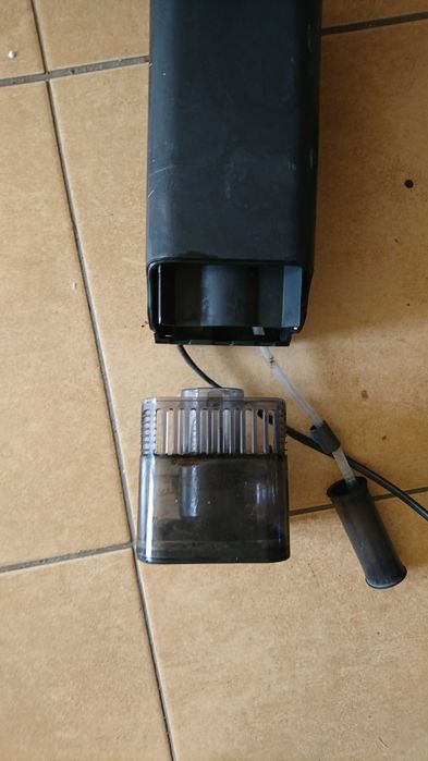 Ryby i korale Morskie