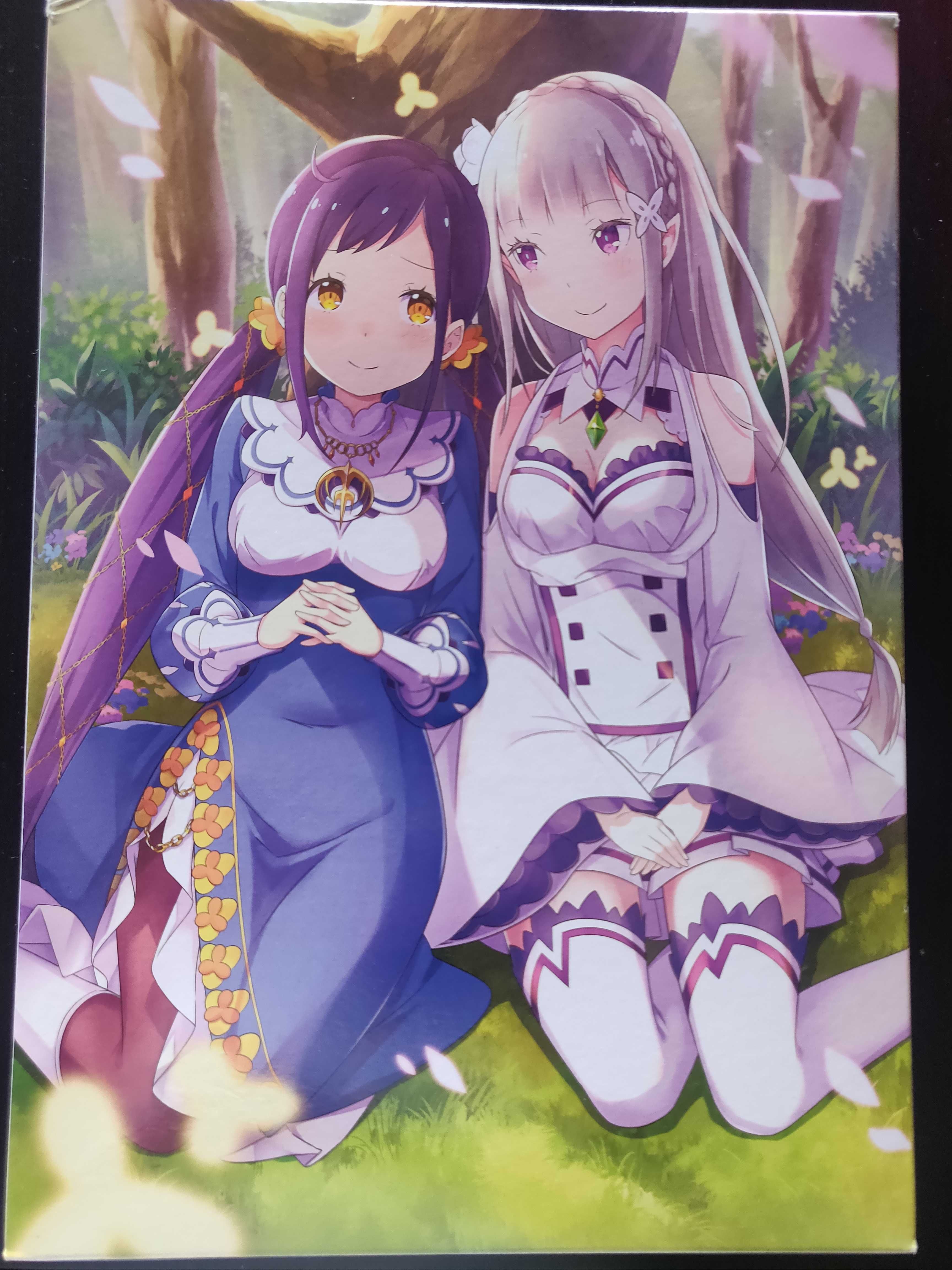 Jogo Switch Re:Zero Edição Colecionador