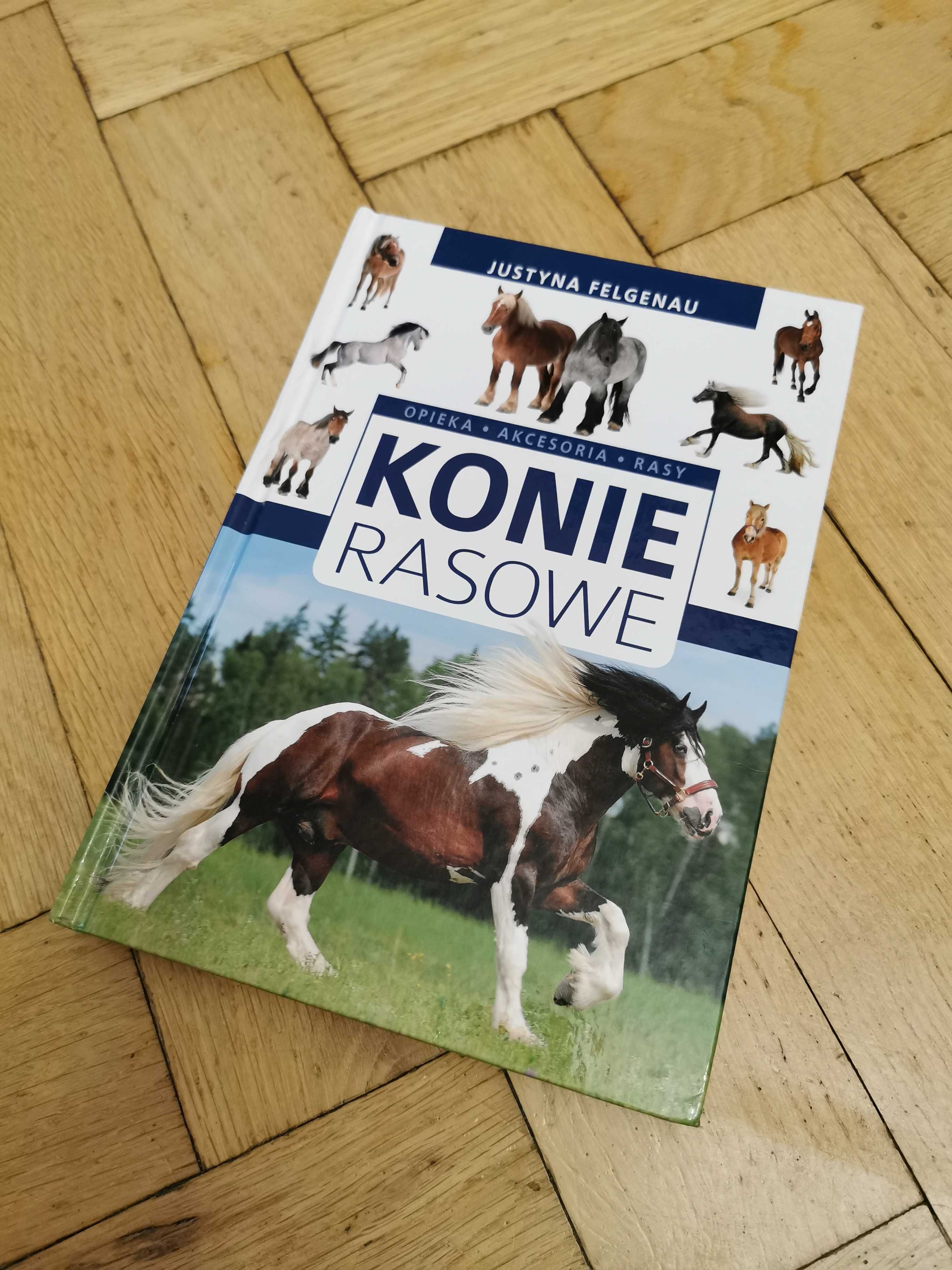 książka "Konie rasowe" Justyna Felgenau