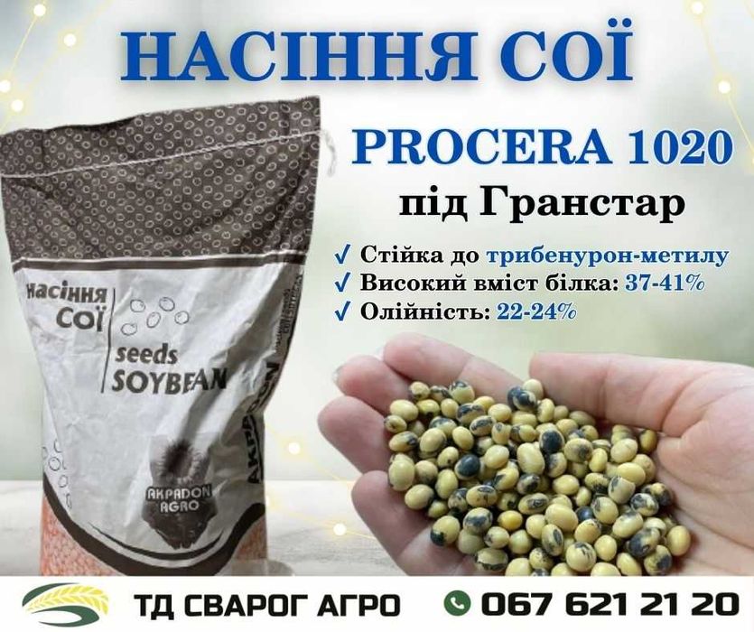 Насіння Сої Procera 1020