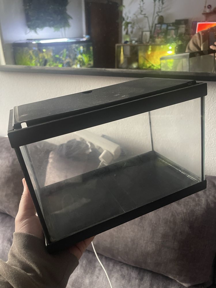 Aquario pequeno