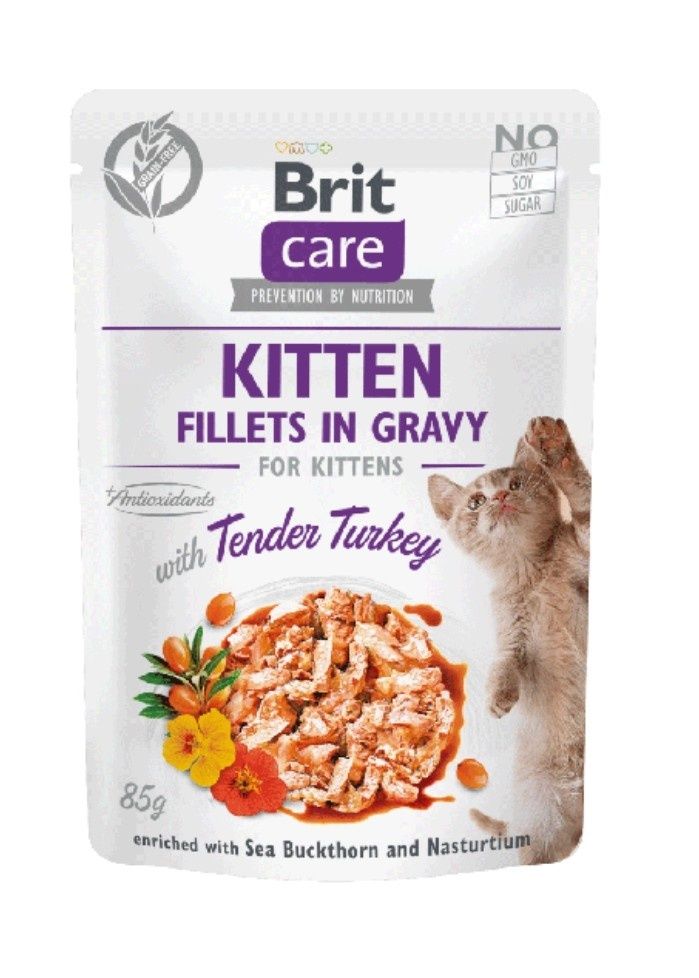 Brit Care kitten filet z indyka w sosie 10x85g