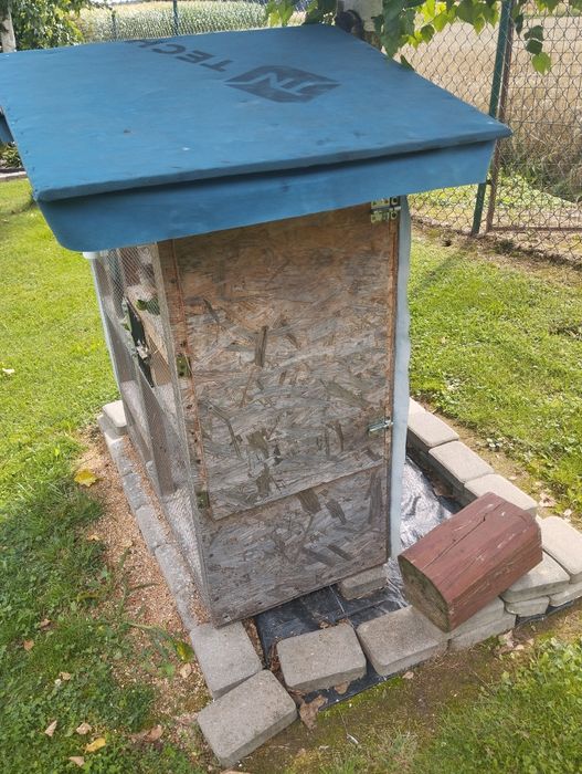 Klatka + ptaki Zeberki