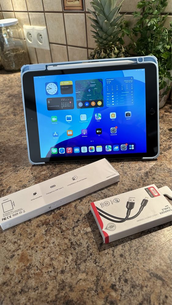 Tablet iPad Apple 10.5” iOS 18.5 - Touch ID - PROCREATE