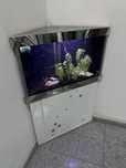 Aquario canto 100L