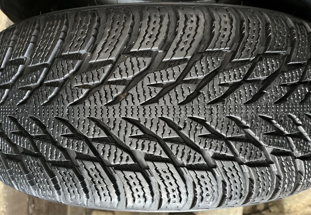 Шини Nokian Halapelitta R3 R 16 205 55