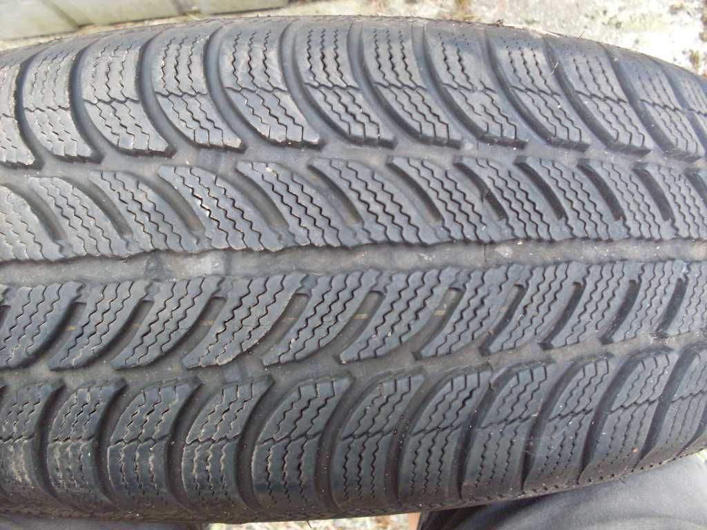 Opona 1 sztuka Dębica Frigo 195/65r15
