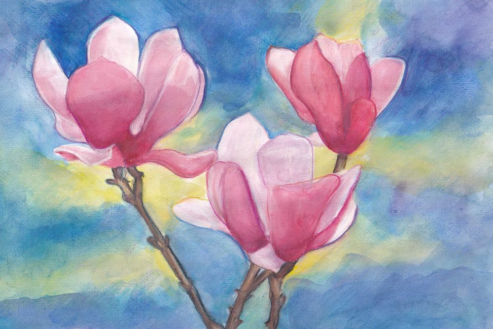 Oryginalne kwiaty magnolii akwarela na niebieskim tle .