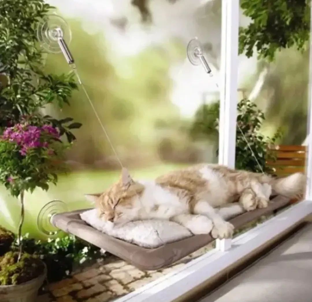 Лежанка для кошек окно window mounted cat bed
Цена - 260грн.