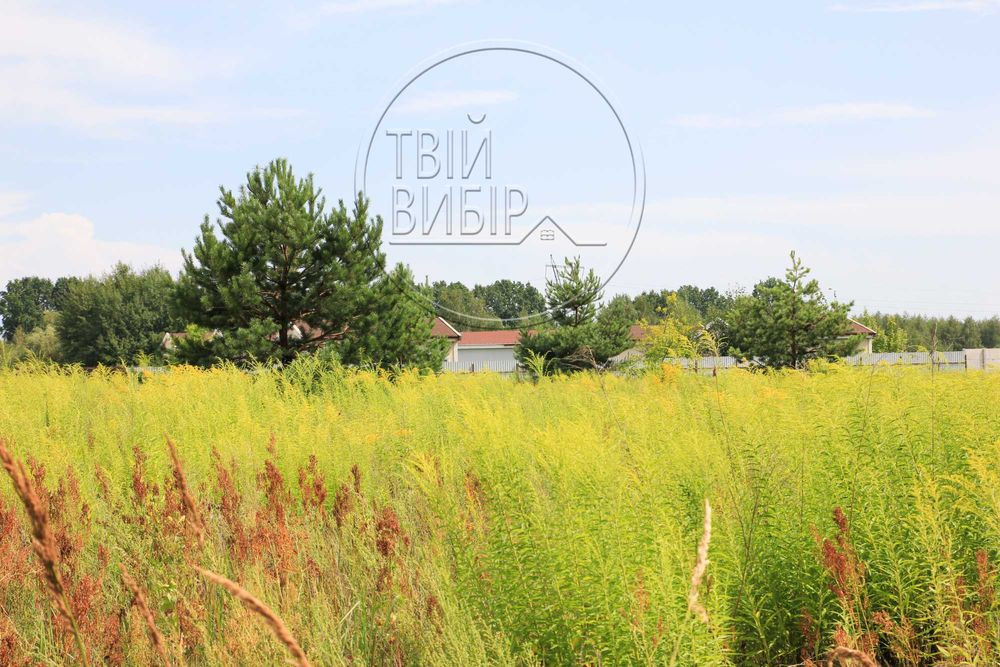 Продаж Ділянки Петрушки 10 соток