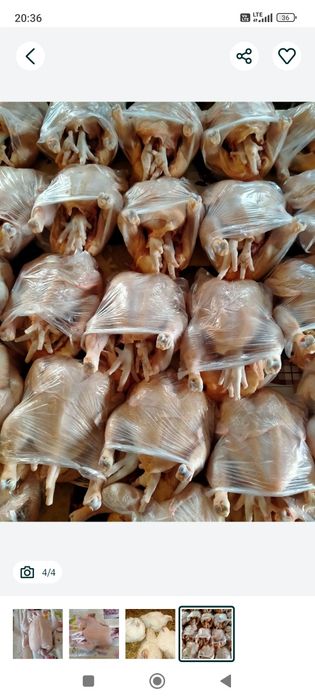 Kurczaki na rosół i pieczeń Gdańsk dowóz