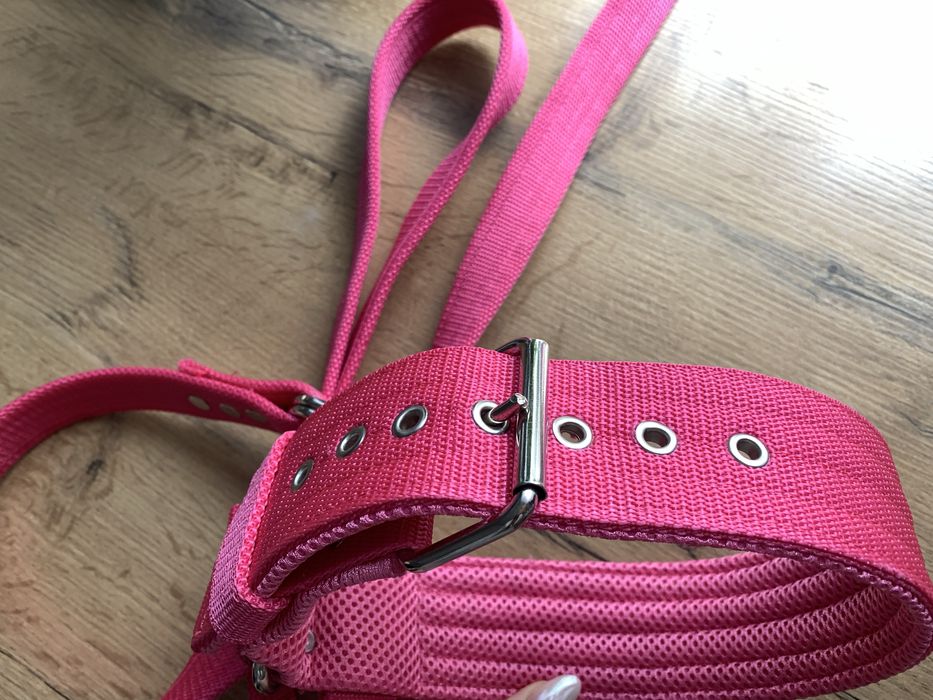 Solidna obroża + smycz -sraffik/amstaff + gratis